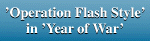 'Operation Flash Style' in 'Year of War'