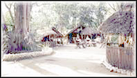 Safari Camp site
