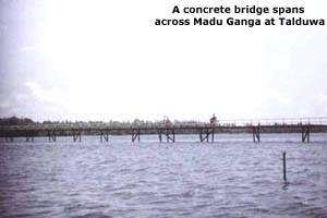 A concrete bridge spans across Madu Ganga at Talduwa