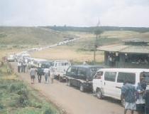 Traffic jam: the sight that met visitors' last Sunday