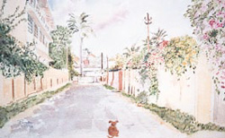 'The street where I live' by Premala de Mel