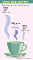 India, Sri Lanka and Kenya are expected to account for 70 percent of global tea production by 2010 compared to 63 percent now, according to FAO estimates.