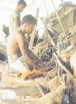 The traditional method of extracting various grades of fibre from the raw coconut husk is more than 100 years old. Two spiked wheels (called pettikuttama), spinning very fast and operated manually, are used to strip the husk. The long fibre remains in the hand while the short fibre and coir dust falls to the ground.