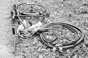 A farmer’s bicycle mangled by an angry elephant