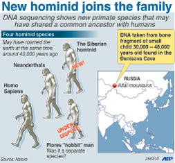 Denisova Hominid