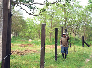 LOCAL ELECTRIC FENCE LAWS | PERIMETER SECURITY FENCES