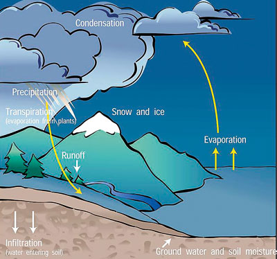 water cycle steps for kids. After checking the water meter