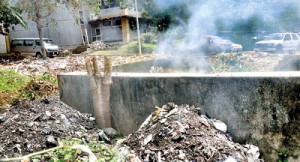 The state of a State institution: Army, police and PHI officials who had entered the Isurupaya building premises that houses the Education Ministry on Friday had issued an ultimatum of three days to clear up this open garbage pit . Pic by Susantha Liyanawatte