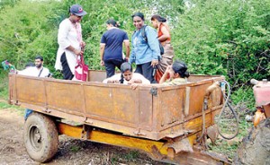 Badra on a field trip in a tractor