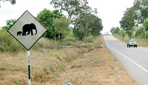 Sign boards clearly indicate elephant crossings.