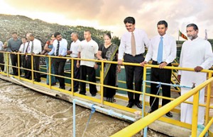 Picture shows the VIPs looking at the plant.
