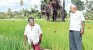 Two Sri Lankan rebels with a cause: Propagating indigenous rice as a counter to climate change