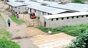 The temporary abodes at Nagalagam Street, close to the banks of the Kelaniya.Pic by Saman Kariyawasam