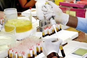 The lab where blood is screened for transfusion transmitted infections. Pix by M.A. Pushpa Kumara