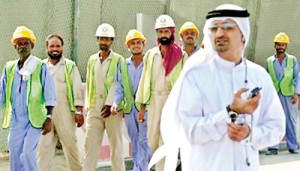 Gulf countries depend on imported labour
