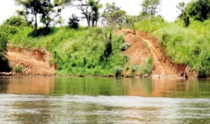 These images show the River bank damage to the Mahaweli River near Wasgomuwa National Park.. Sand Mining has been witnessed every 25 metres over a stretch of 30 kilometres.