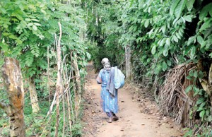 A lonely footpath leads to the house where the recent killings took place. Pix by Indika Handuwala