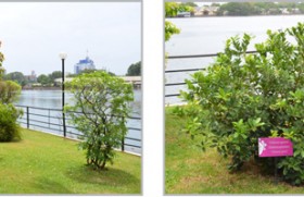 Cinnamon Lakeside re-certified by Green Globe