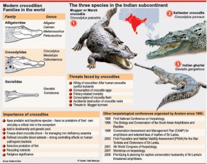 Crock-Graphic