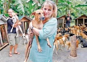 Saved: Nelson the stray dog in the safe hands of Kim Cooling, a former social worker, at the dog sanctuary in Ahangama, south Sri Lanka