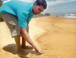 A person picks up oil globules on Mount Lavia beach.  Pic by M.D. Nissanka