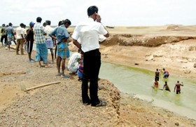 Kilinochchi farmers weep over what they sowed as Iranamadu tank  dries up
