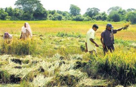 Improving agricultural productivity:  Increase farmer incomes, reduce prices of food items and increase exports