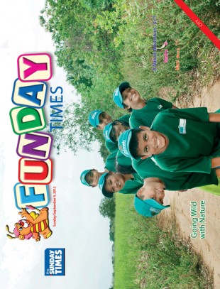Funday Cover