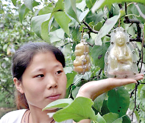 A woman demonstrates a baby-shaped pear in Handan city,