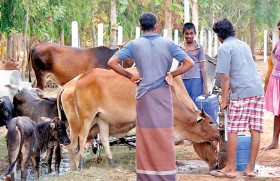 Desperate farmers seek help