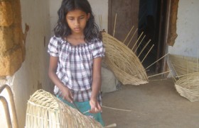 Bamboo emerges as possible Lankan economic lifeline