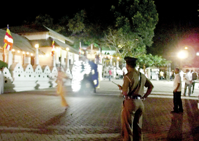 Fright flight by jumbos briefly stops perahera