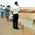 Kilinochchi farmers weep over what they sowed as Iranamadu tank  dries up