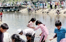 Seabed change sends thousands of fish ashore