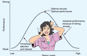 Stress: What’s it all about?