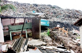 Garbage strikes back: Disposes people of their homes