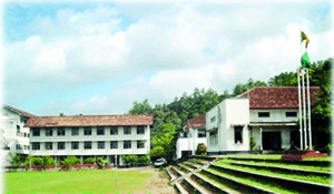 The environment of the College