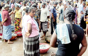 There's fish aplenty and prices are low.