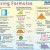 Using Formulae