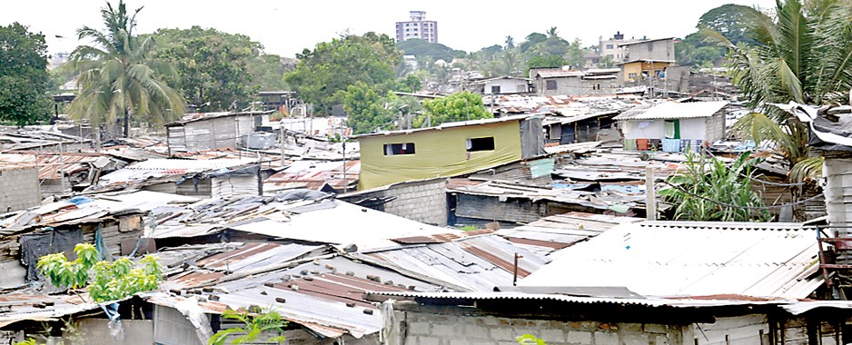 Colombo blooms, but for some it’s only doom