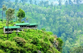 Madulkelle Tea and Eco Lodge