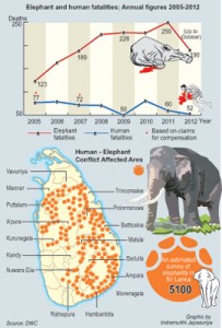 Elephant-Human