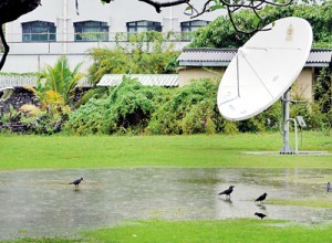 The premises of the Meteorology Department in Colombo, the nerve centre of all things pertaining to the weather was itself submerged during the heavy rains that lashed Colombo. Pic by Hasitha Kulasekera