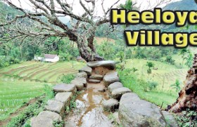 Heeloya Village