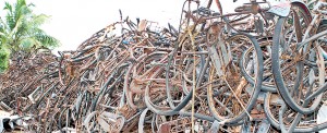 Scrap iron from abandoned and rusted bicycles has value for poor Vanni families. Pix by T. Premanath