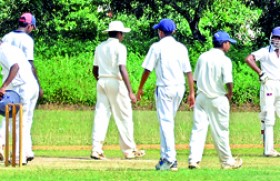 Top level meeting this week to unravel school cricket tangle