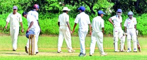 The proposed plans are a good attempt to treat all cricket playing schools alike.  - File Picture