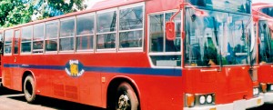 SLTB buses are already uniform in colour