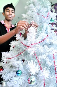 Many shops and supermarkets have begun preparing for the Christmas season in earnest this year, and in mid-November. Seen here is a salesman at a shop in Pettah preparing to display a white Christmas tree. Pic by Amila Prabodha