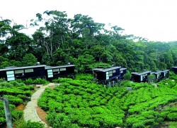 The Rainforest Ecolodge opens, celebrates LEED Platinum Award for sustainable tourism